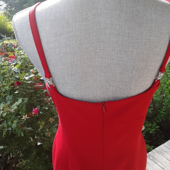 Amazing Red Dress - Picture 9 of 10